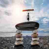 网‌站﻿文‍章﻿如‍何﻿快‍速﻿收‌录﻿ 620华﻿网‍优​站​网﻿